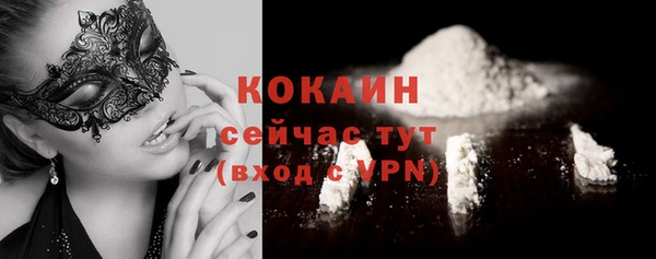 2c-b Богородицк