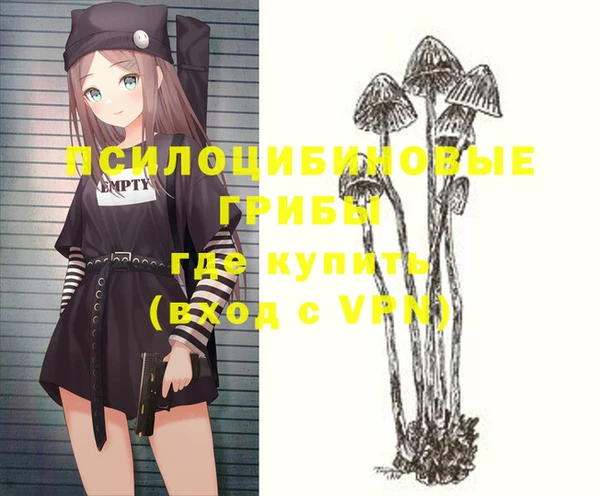2c-b Богородицк
