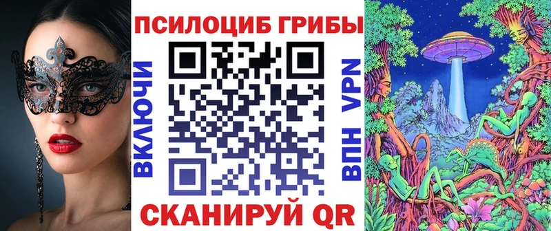 что такое наркотик  OMG как зайти  Псилоцибиновые грибы GOLDEN TEACHER  Донецк 
